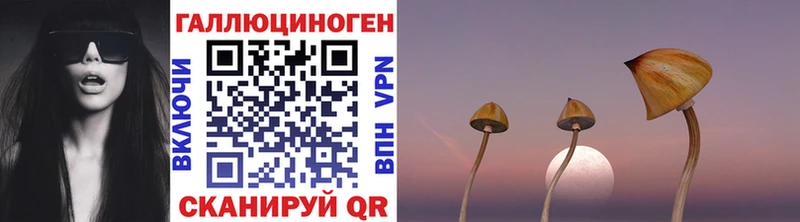 Псилоцибиновые грибы Cubensis  Лихославль 